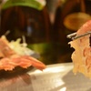 魚町の呑処バルちはに。 - メイン写真: