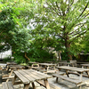 MOKICHI TRATTORIA - メイン写真: