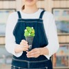 あなゆき - メイン写真: