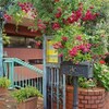 マーヴェラス パラディ - メイン写真: