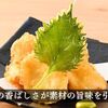 かしわ - メイン写真: