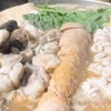 俺の魚を食ってみろ!!  - メイン写真: