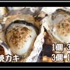 港の牡蠣センター カキ小屋 - メイン写真: