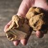 Terres de Truffes, Tokyo - メイン写真: