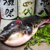 魚とごはん つき灯り - メイン写真: