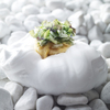 Ristorante Angelo - メイン写真: