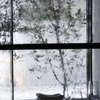 Ristorante Angelo - メイン写真: