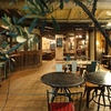 TRATTORIA ElmoCielo - メイン写真: