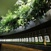 SCeNT HOUSE DEN - メイン写真: