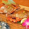鳥打令 - メイン写真:
