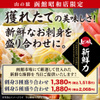 山の猿 - メイン写真: