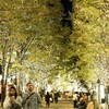 BISTRO DOUBLE - メイン写真: