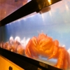 さかな酒場 魚星 - メイン写真: