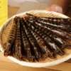 五反田鮨 SUSHI TOKYO 81 - メイン写真: