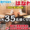 日本酒と天ぷら 大阪大衆割烹へそ - メイン写真: