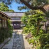 無垢根亭 - メイン写真: