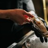 厚岸オイスターダイニング - メイン写真: