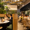 T-MARKET PUBLIC TABLE - メイン写真: