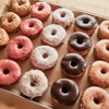 BLANKET DONUTS - メイン写真: