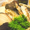 Tama - 料理写真:毎日碧南の市場から仕入れる魚介。