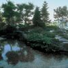 日本料理 雲海 - メイン写真: