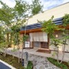梅の花 - メイン写真: