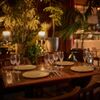 THE TENDER HOUSE DINING - メイン写真: