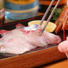 魚けん - メイン写真: