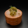 Sushi Kappou Shiro Haccha - メイン写真: