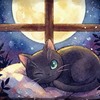 Gatto Calico - その他写真: