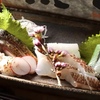 ごはんと酒菜 やま音 - メイン写真: