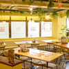 naturry - メイン写真: