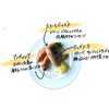 Brew Lounge - メイン写真: