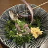 浜焼き居酒屋 バルバルATAMI - メイン写真:
