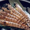 浜焼き居酒屋 バルバルATAMI - メイン写真: