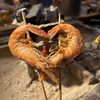 海老炉端 orb - 料理写真:
