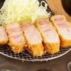 ニューベイブ - メイン写真: