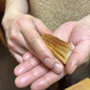 日本橋すし鉄 - メイン写真: