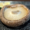 鶏匠 暁 - メイン写真: