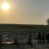 羊SUNRISE - メイン写真: