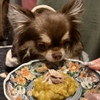 美容薬膳火鍋 美鍋 - メイン写真: