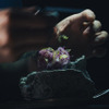 ETHICA - メイン写真: