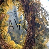 French BISTRO SAUVAGE - メイン写真: