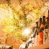 全席個室 居酒屋 九州和食 八州 - メイン写真: