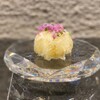 座屋 - メイン写真:
