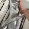 もつやき ばん - メイン写真: