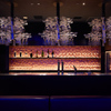 TEPPANYAKI 10 GINZA