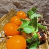 焼鳥 華備 - メイン写真: