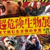 米とサーカス - メイン写真: