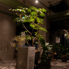 Bar en - メイン写真: